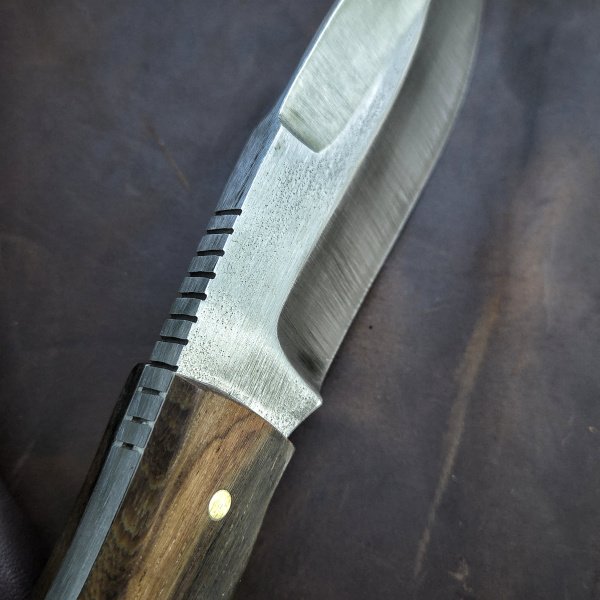 Skinner e uma Survivor 🔥(RF 31)